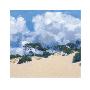 Beach Pines, Sardinia by Charles Simpson Limited Edition Print