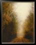 Road Of Mysteries I by Amy Melious Limited Edition Print