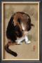 Cat's Feeling by Hu Chen Limited Edition Print