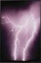 Lightening by Susan Strom Limited Edition Print