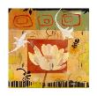 Flower And Seed I by Mary Calkins Limited Edition Print