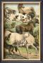 Horse Breeds Ii by Henry J. Johnson Limited Edition Print