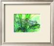 Dragonfly Ii by Kym Garraway Limited Edition Print