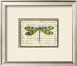 Dragonfly Harmony I by Albertus Seba Limited Edition Pricing Art Print