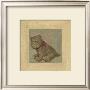 Brown Dog With Red Scar by Catherine Becquer Limited Edition Print
