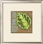 Block Print Palm Iii by Chariklia Zarris Limited Edition Print