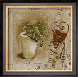 Feuille Et Pot by Veronique Didier-Laurent Limited Edition Print