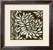 Medium Striking Chrysanthemums Ii by Nancy Slocum Limited Edition Print