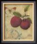 Plum Recollection by Regina-Andrew Design Limited Edition Print