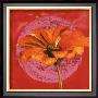 Zinnia Orange Sur Pos Rose by Valerie Roy Limited Edition Print