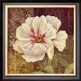 Esperance Peony by Pamela Gladding Limited Edition Pricing Art Print