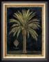 Caribbean Palm I by Betty Whiteaker Limited Edition Print