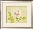 Pink Flower by David Col Limited Edition Print