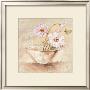 Cup Of Gracile Anemones by Anna Gardner Limited Edition Print