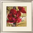 Russio Red Magnolia I by Lanie Loreth Limited Edition Print