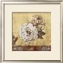 Golden Rose by Wilder Rich Limited Edition Print