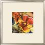 Bloem I by Marysia Limited Edition Print