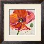 Poppy Flower Ii by Patricia Quintero-Pinto Limited Edition Pricing Art Print