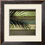 Palm And Stripes I by Patricia Quintero-Pinto Limited Edition Print
