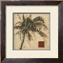 Sepia Palm I by Patricia Quintero-Pinto Limited Edition Print