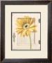 Daisy Door by Megan Meagher Limited Edition Pricing Art Print