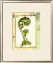 Fiddlehead Collage I by Jennifer Goldberger Limited Edition Print