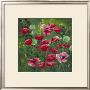 Coquelicots Et Pissenlits by Jordane D. Grux Limited Edition Print