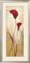 Panneau Calla by Nathalie Besson Limited Edition Print