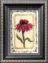 Mini Flower Iv by Charlene Winter Olson Limited Edition Pricing Art Print