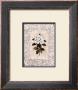 Rhododendron by Richard Henson Limited Edition Print