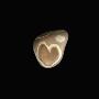 Beach Stone With A Heart-Shaped Ring In It, Nicaragua by Josie Iselin Limited Edition Print