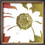 Peace Flowers Iv by James Burghardt Limited Edition Print