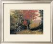 Nature's Spectacle by Marcel Delorme Limited Edition Print