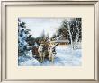 Winter Fun by Lise Auger Limited Edition Print
