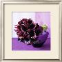 Bouquet Of Arum Lilies by Mary Bartley Limited Edition Print