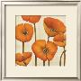 Bouquet Orange by Maja Limited Edition Pricing Art Print