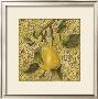 Fruit Panel Ii by Kris Limited Edition Print