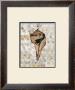 Pearlized Shell by Regina-Andrew Design Limited Edition Print