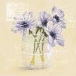 Post And Anemones by Colleen Sarah Limited Edition Pricing Art Print
