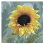 Sunflower Garden Ii by Francine Funke Limited Edition Print