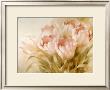 Pink Tulips by Igor Levashov Limited Edition Print