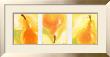 Poires Salsa Triptych by Chantal Godbout Limited Edition Print