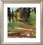 A Walk In The Woods V by Sylvia Angeli Limited Edition Print