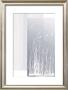 Garden Prairie Ii by Verbeek & Van Den Broek Limited Edition Print