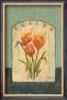 Tulips by Thomas Laduke Limited Edition Print