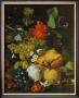 Fruits, Flowers And Insects by Jan Van Huysum Limited Edition Print