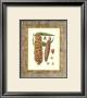 Leather Framed Pine Cones Ii by Deborah Bookman Limited Edition Print