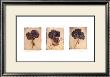 Hydrangeas by Amy Melious Limited Edition Print
