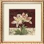 Postcard Lily by Kelly Donovan Limited Edition Print