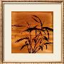 Bamboo Waves I by Thomas Kalwa Limited Edition Print